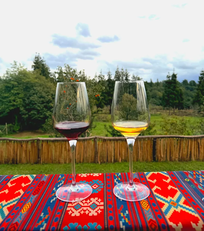 A glass of red and a glass of white wine on a Georgian carpet